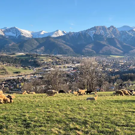 Biały Rafaczówki * Suche