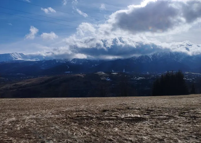 Daire Bialy Rafaczowki *