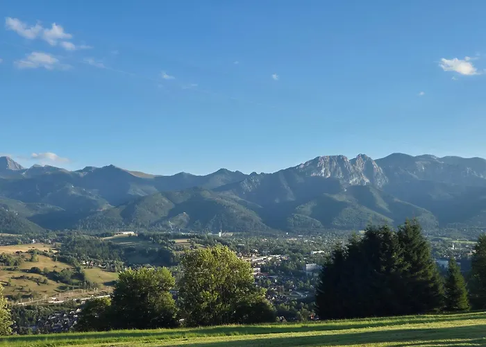 Daire Bialy Rafaczowki Suche