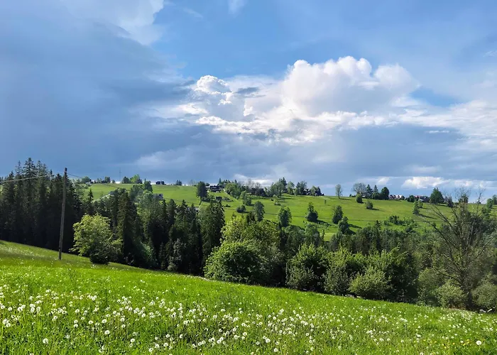 Daire Bialy Rafaczowki